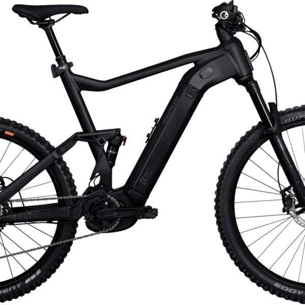 Kettler QUADRIGA DUO CX12 FS 1250 Wh-Akku Black