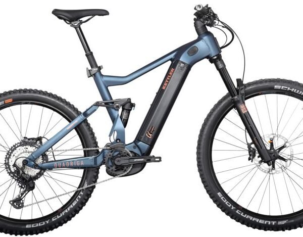 Kettler QUADRIGA DUO CX12 FS 1250 Wh-Akku Petrol